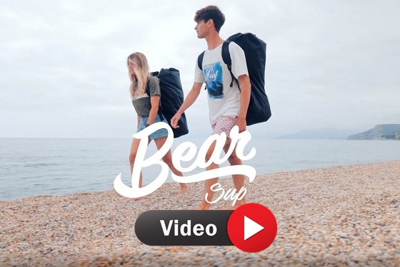 Bear Video
